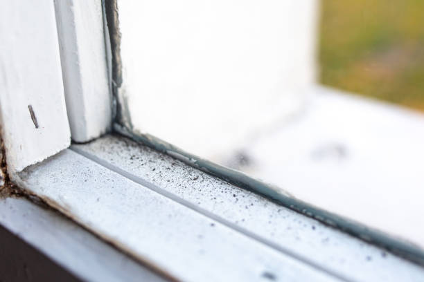 Best Mold Remediation for Healthcare Facilities  in Glennville, GA